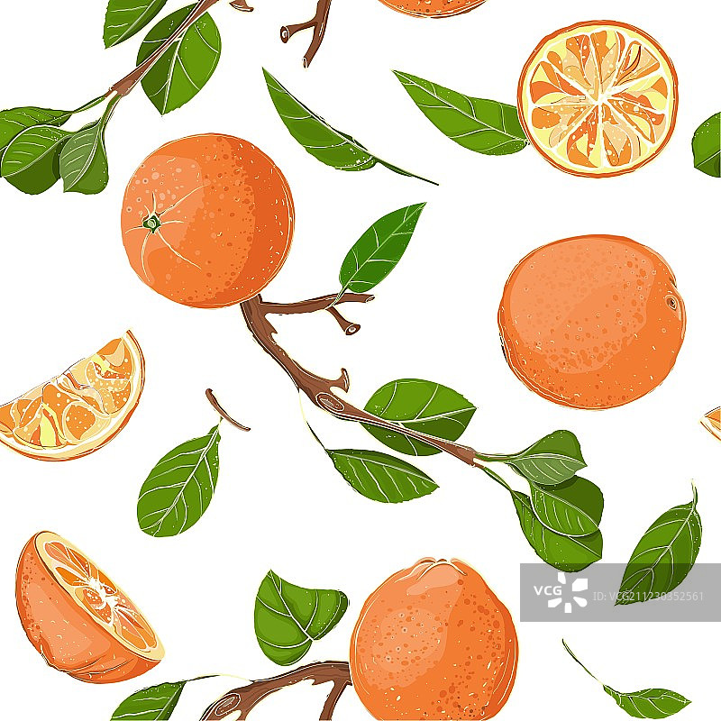 新鲜橙子和树叶无缝图案图片素材