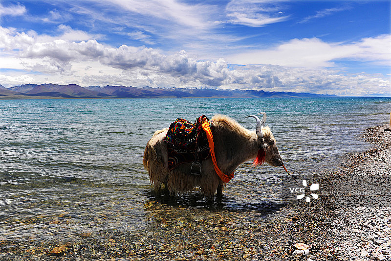西藏，纳木措风景图片素材