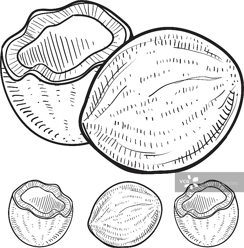 涂鸦椰子图片素材