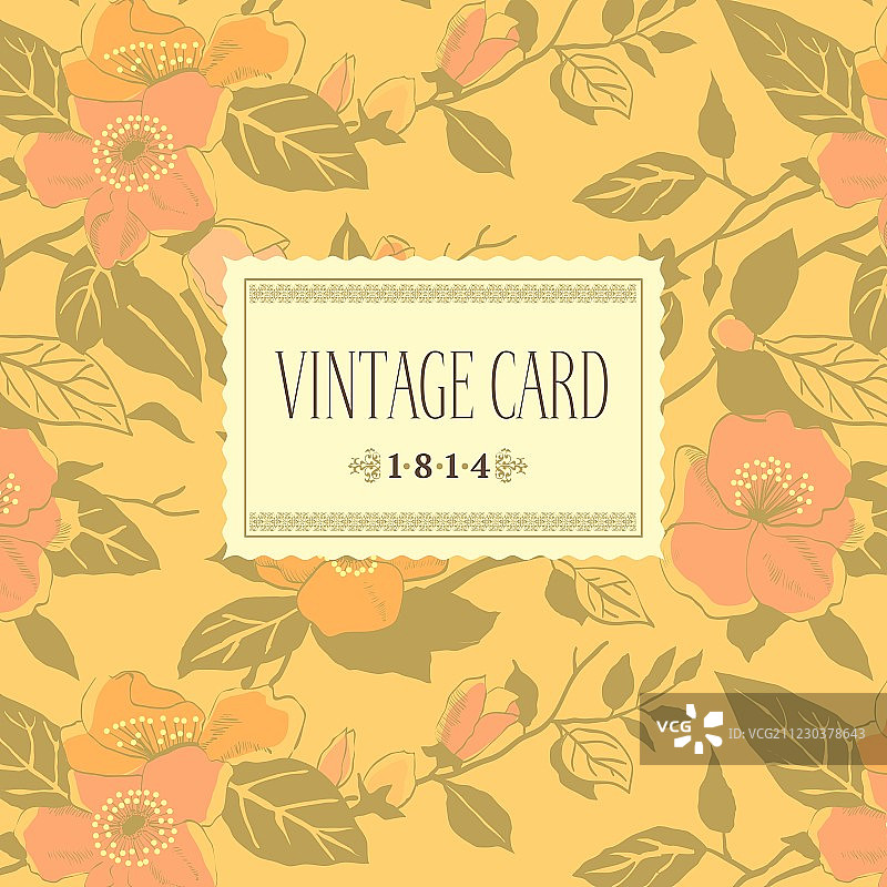 花卉和装饰背景图片素材