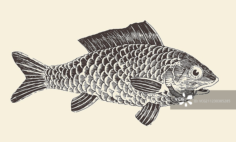 雕刻复古鳊鱼图片素材