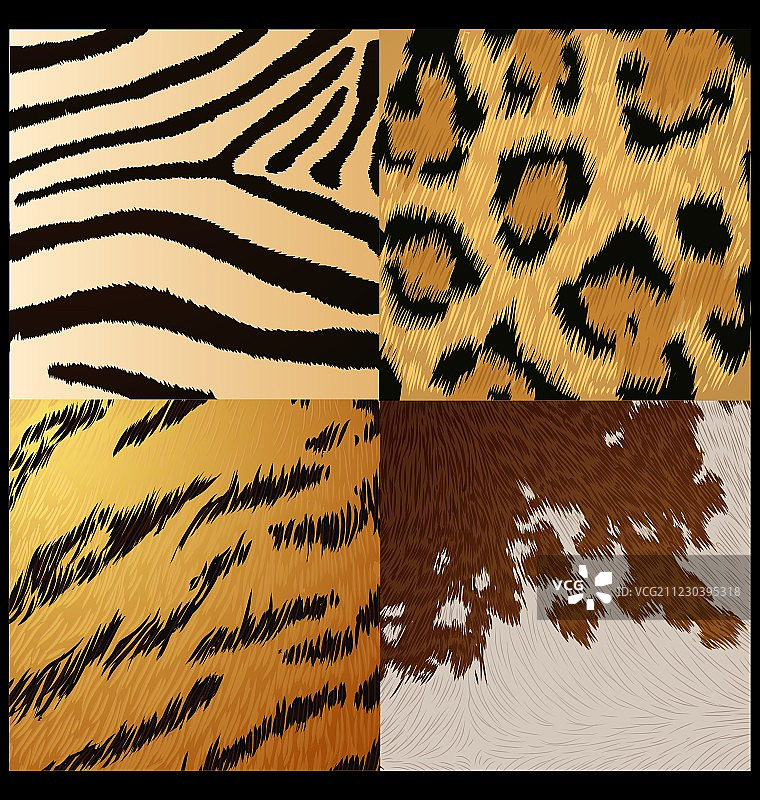 野生动物皮肤纹理图片素材