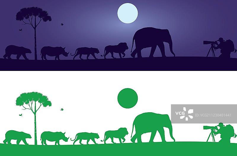 野生动物墙贴图片素材