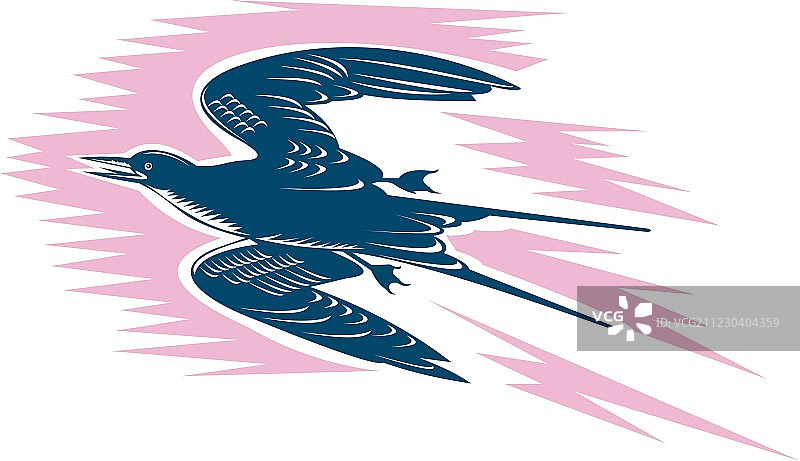 燕鸥飞行木刻图片素材