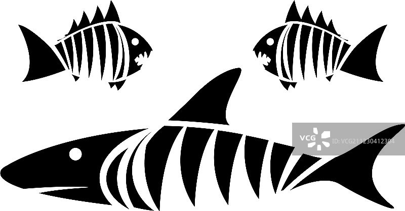 虎鲨和食人鱼图片素材