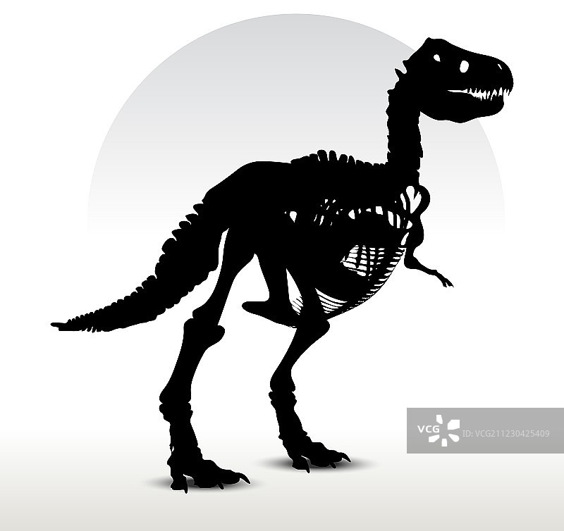 霸王龙骨架图片素材