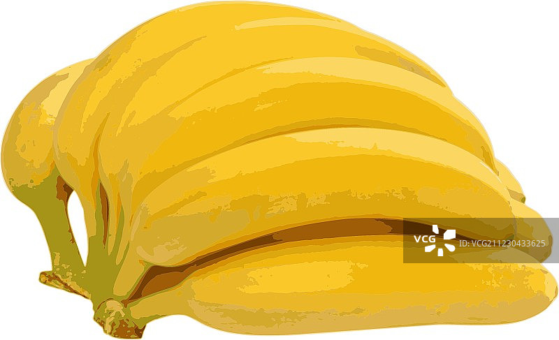 一串孤立在白色背景上的香蕉图片素材