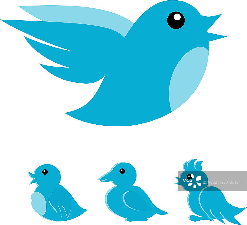 蓝色的鸟图片素材