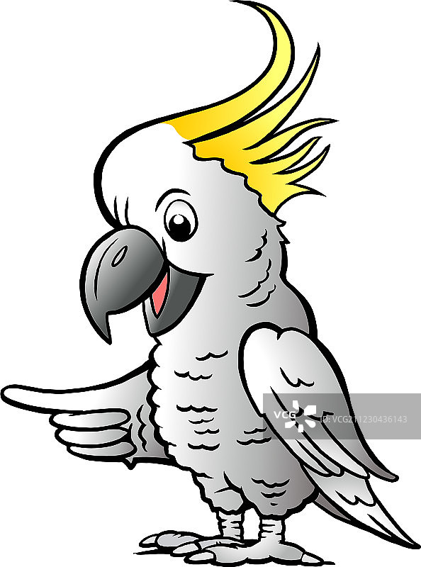 手绘硫磺凤头鹦鹉图片素材