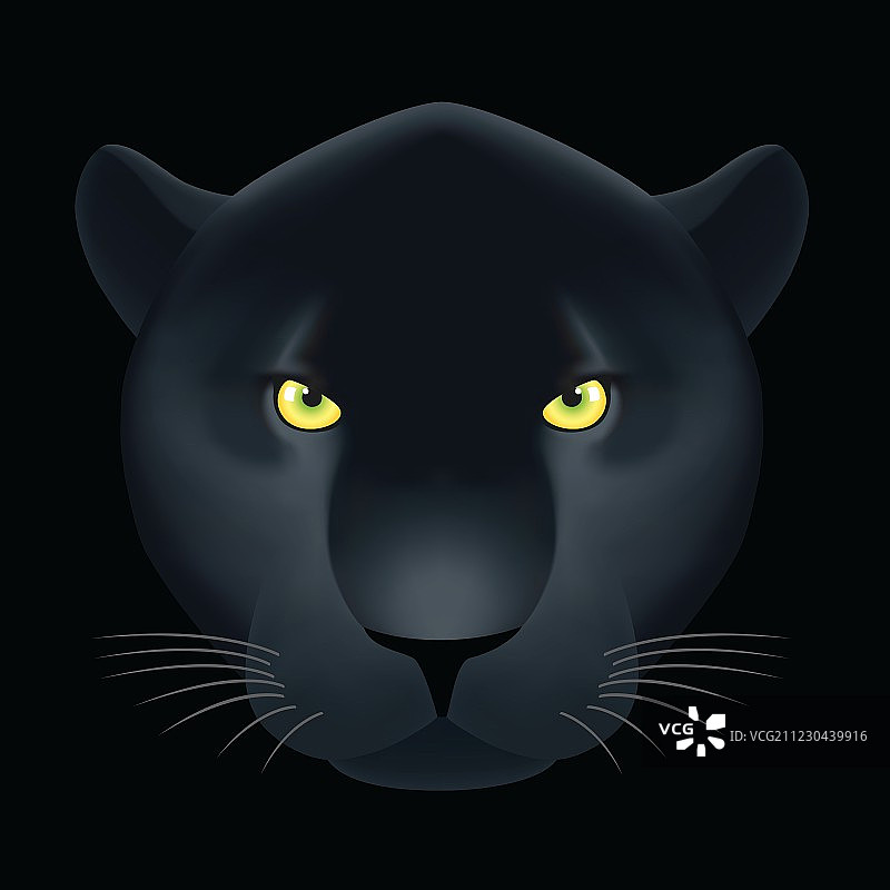 危险的猫图片素材