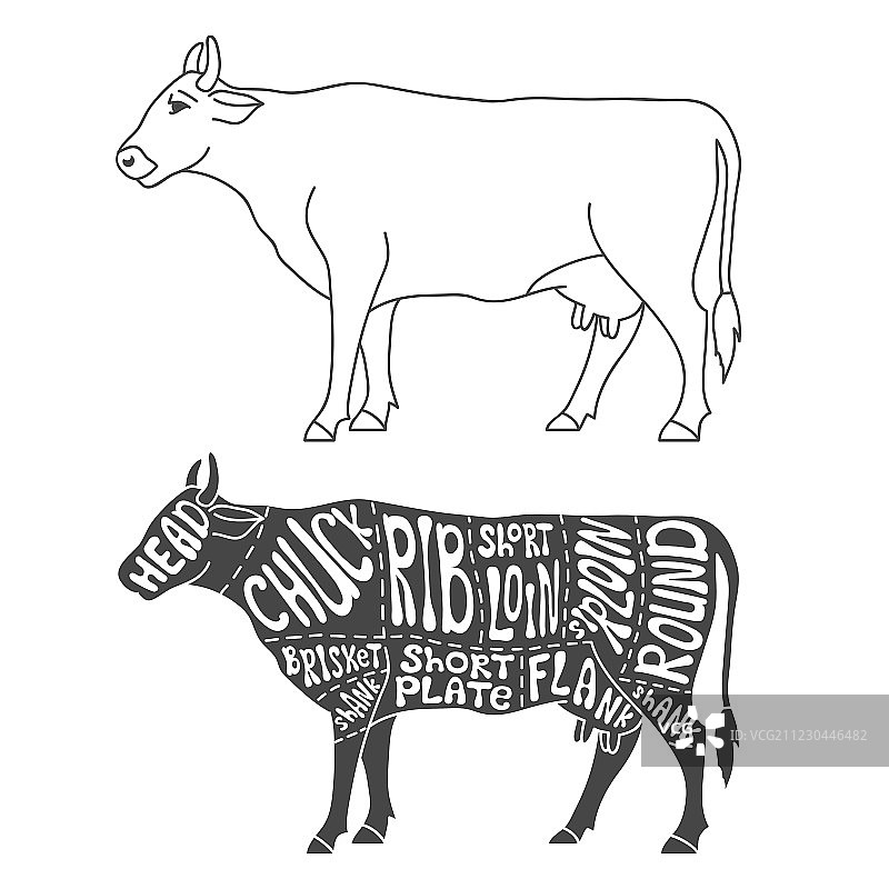 牛肉分割图图片素材