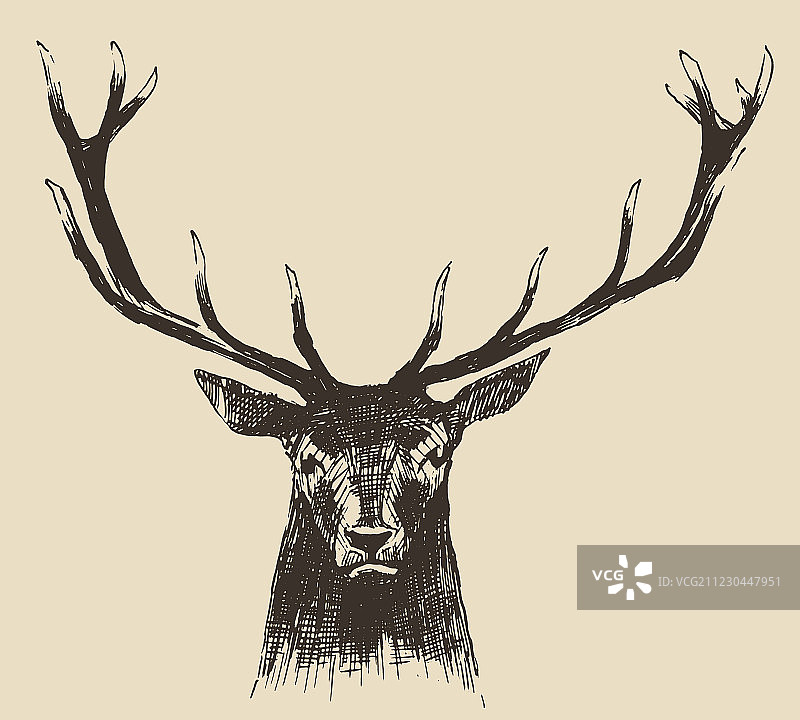 复古手绘鹿头图片素材