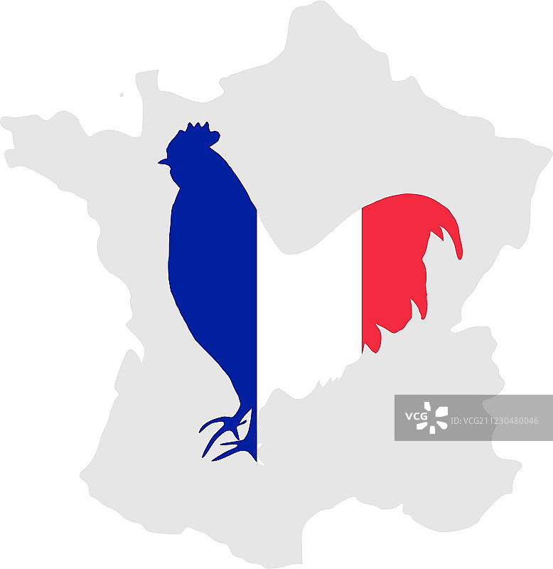 法国公鸡图片素材