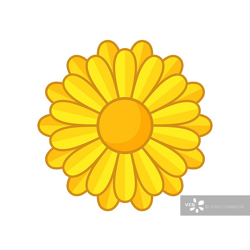 黄色的花图片素材