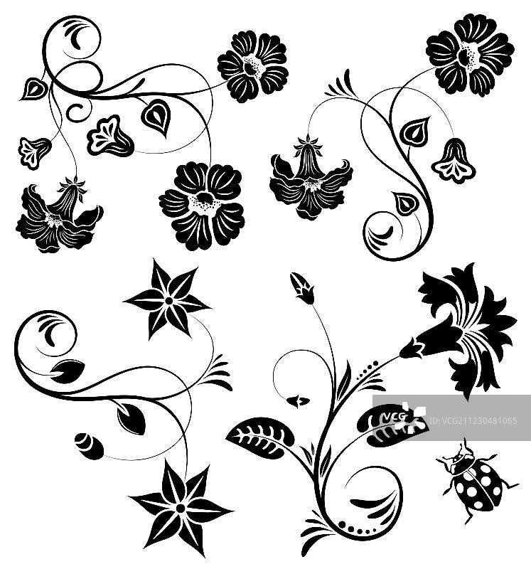 背景的花图片素材