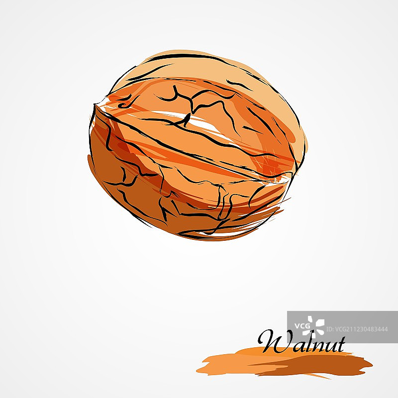 胡桃木图片素材