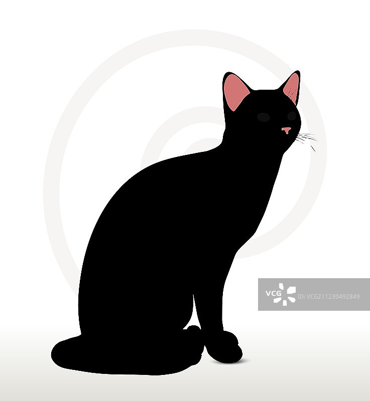 坐姿猫咪剪影图片素材