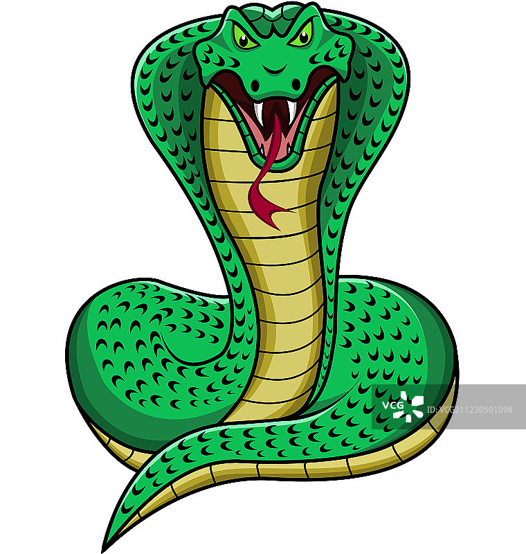 眼镜王蛇图片素材