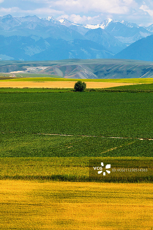 新疆自然景色图片素材