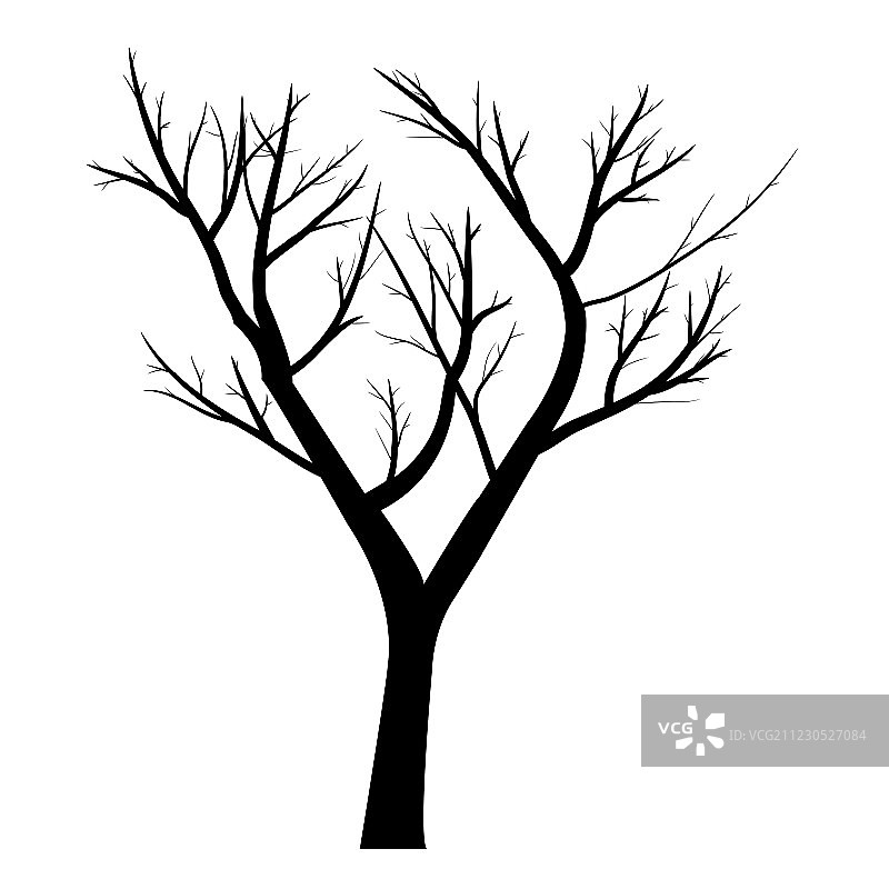 枯枝的树图片素材