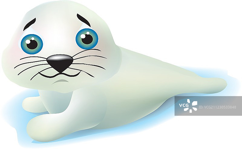 可爱的海豹宝宝图片素材