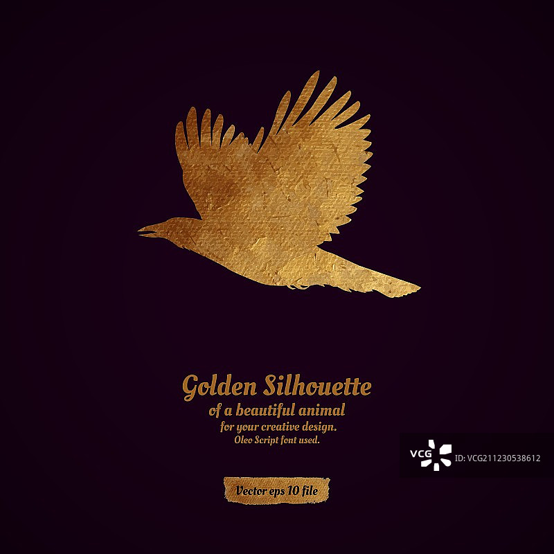 金色轮廓创意设计图片素材