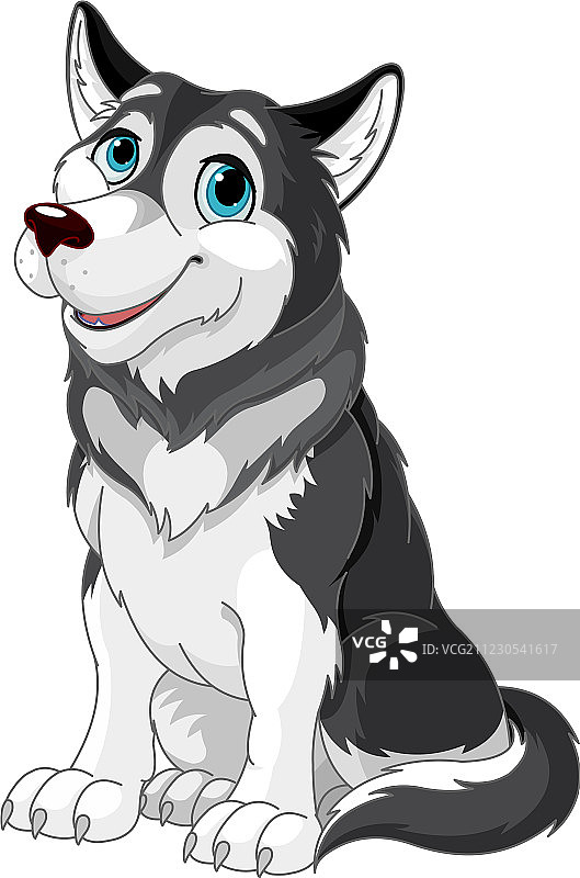 阿拉斯加雪橇犬图片素材