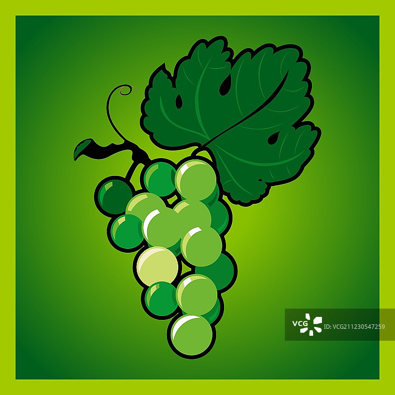绿葡萄串图片素材