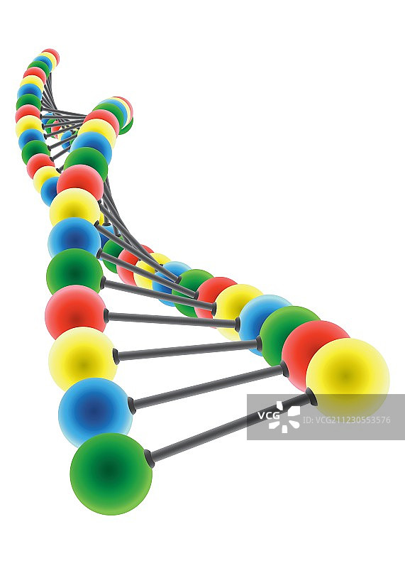 DNA模型图片素材