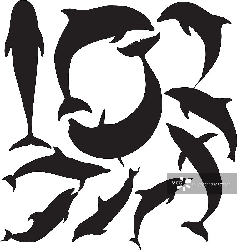 海豚剪影图片素材