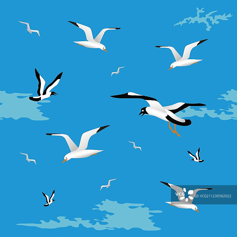 海鸥无缝图案图片素材