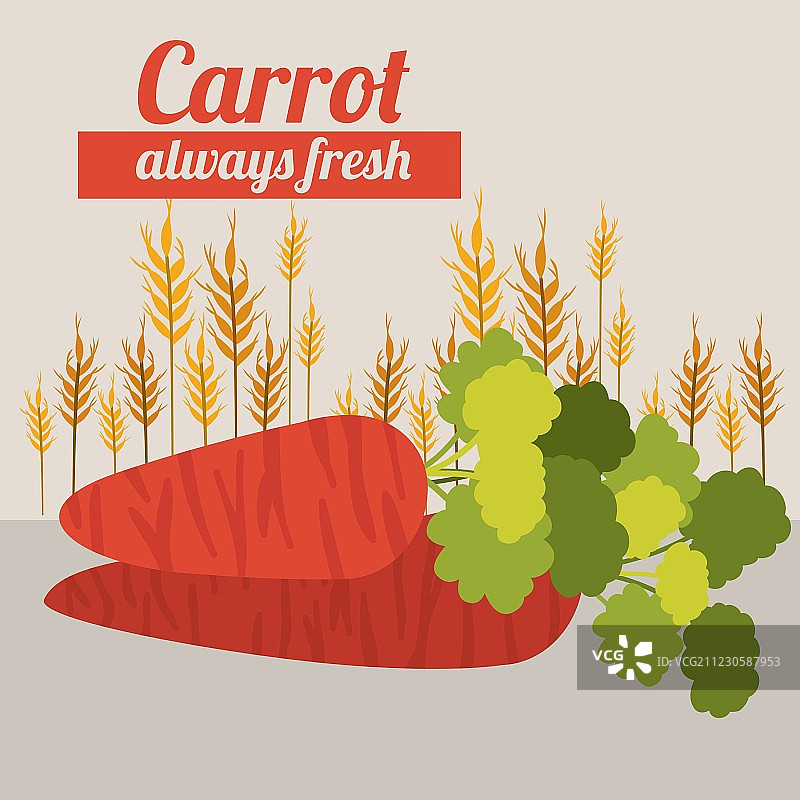 有机食品设计图片素材