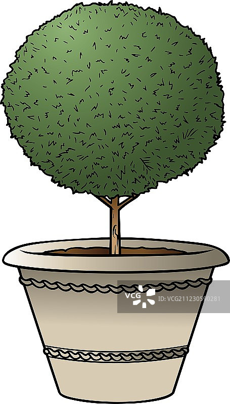 盆栽灌木图片素材