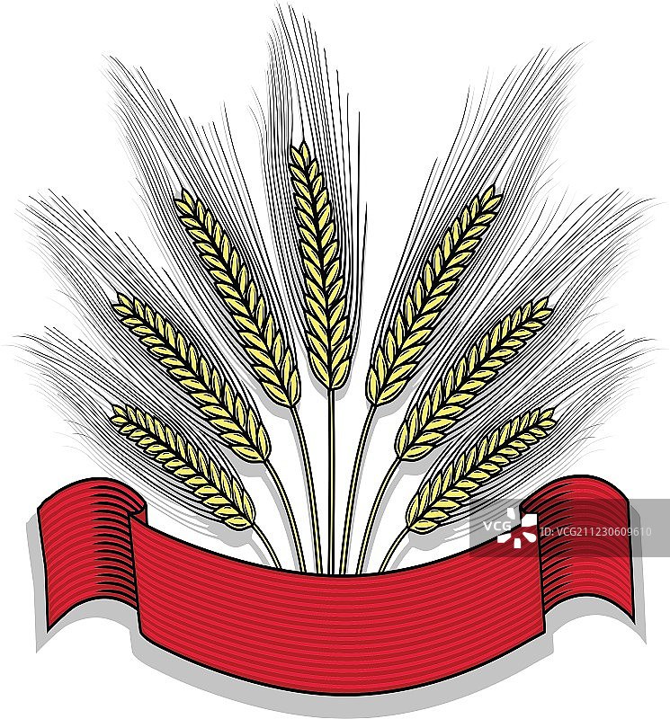 带丝带的麦穗图片素材