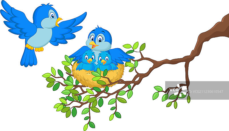 鸟和巢中的两只幼鸟图片素材