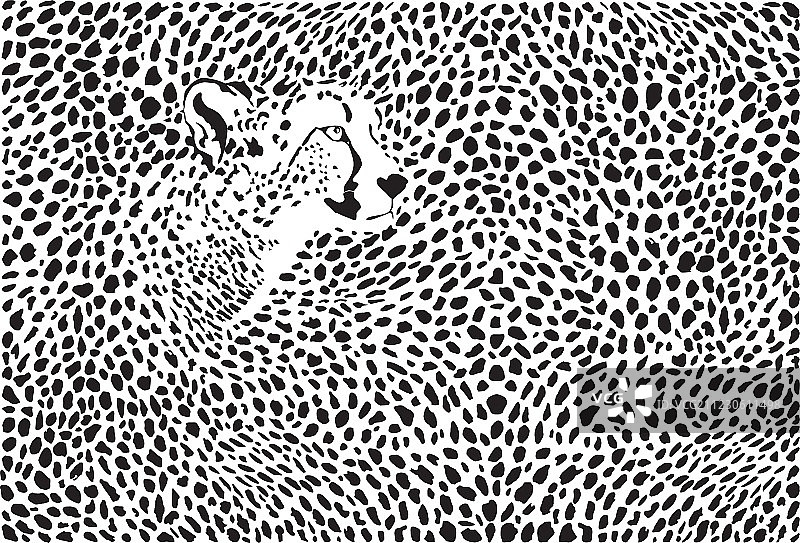 猎豹纹理背景图片素材