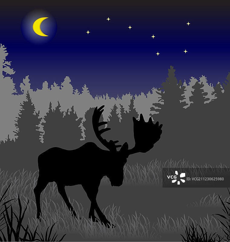 夜 Forest中的麋鹿图片素材