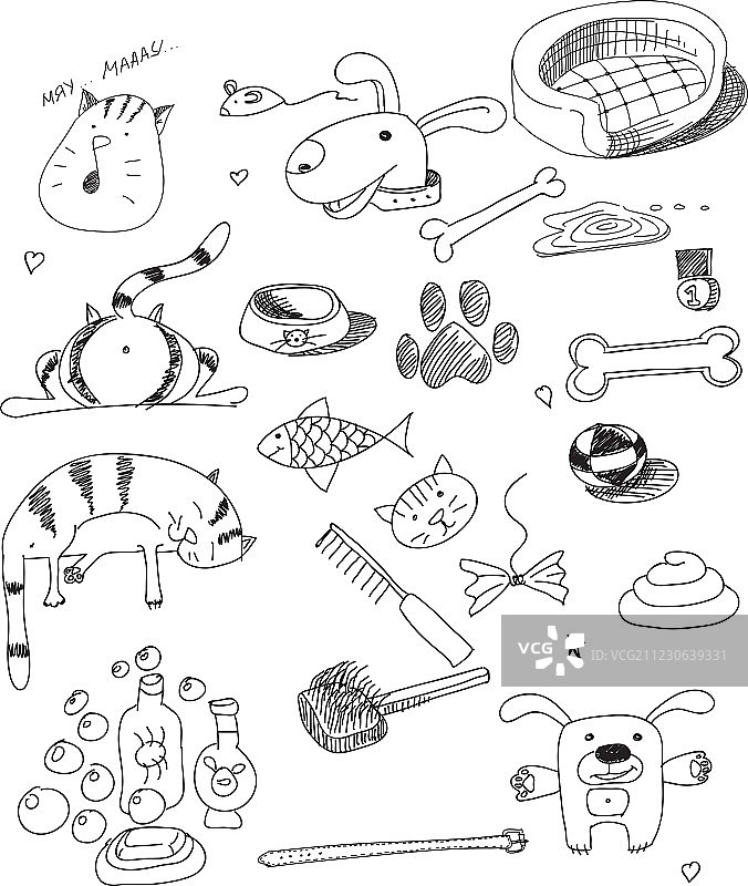 猫和狗图片素材