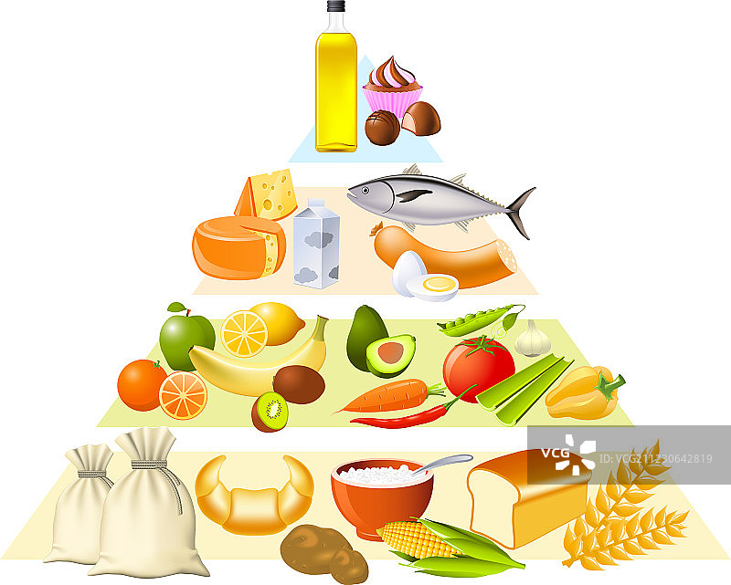 食物金字塔图片素材