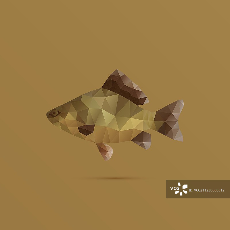 三角形组成的鱼图片素材