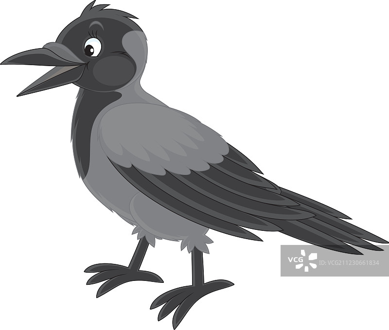 乌鸦图片素材