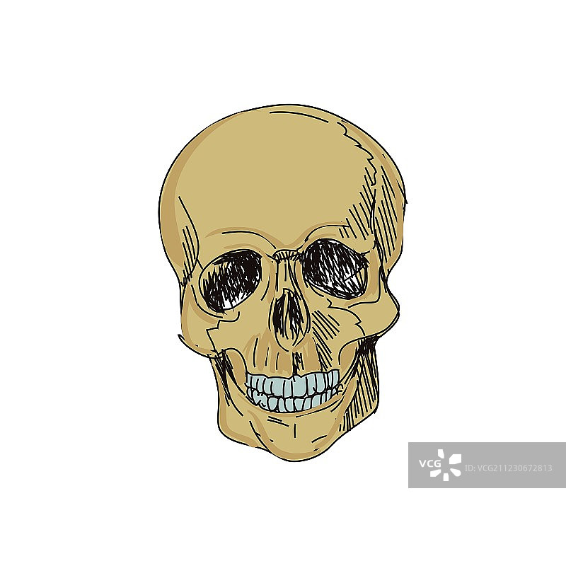 涂鸦骷髅头图片素材