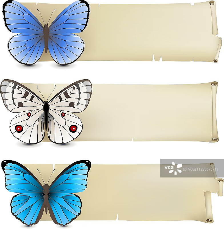 复古蝴蝶banner设计图片素材