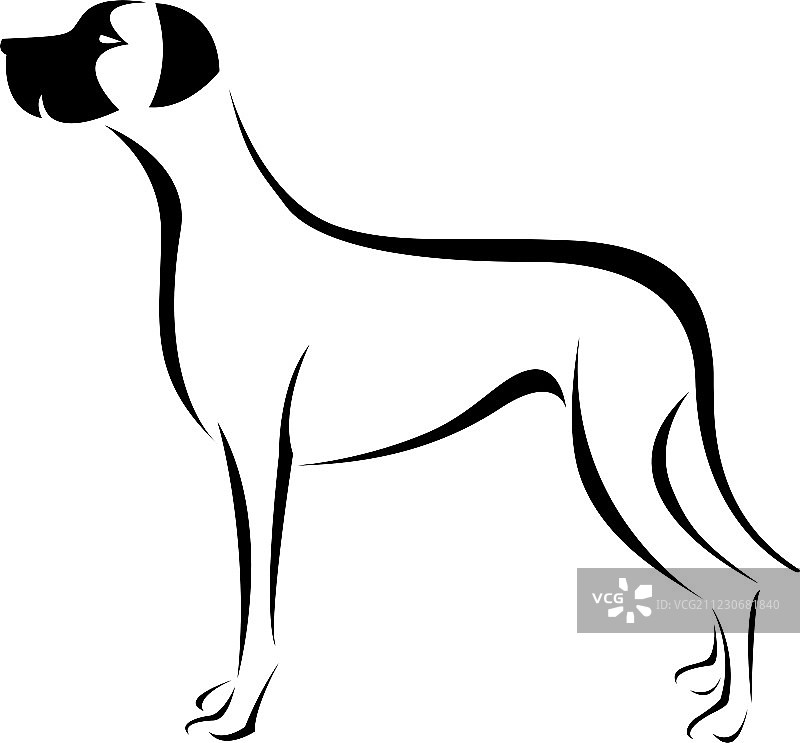 大丹犬图片素材