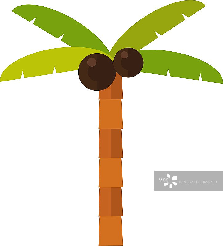 棕榈树图片素材