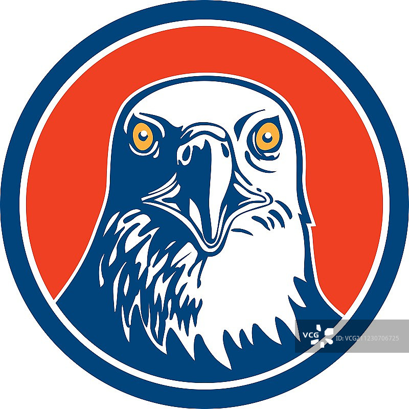 美国秃鹰头部圆形复古图案图片素材