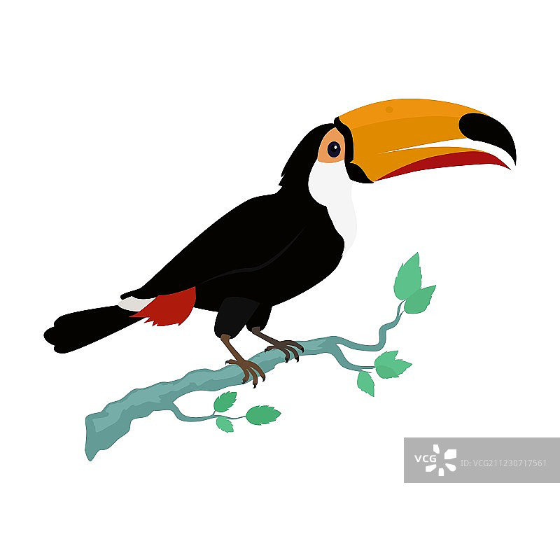 巨嘴鸟扁平风格设计图片素材