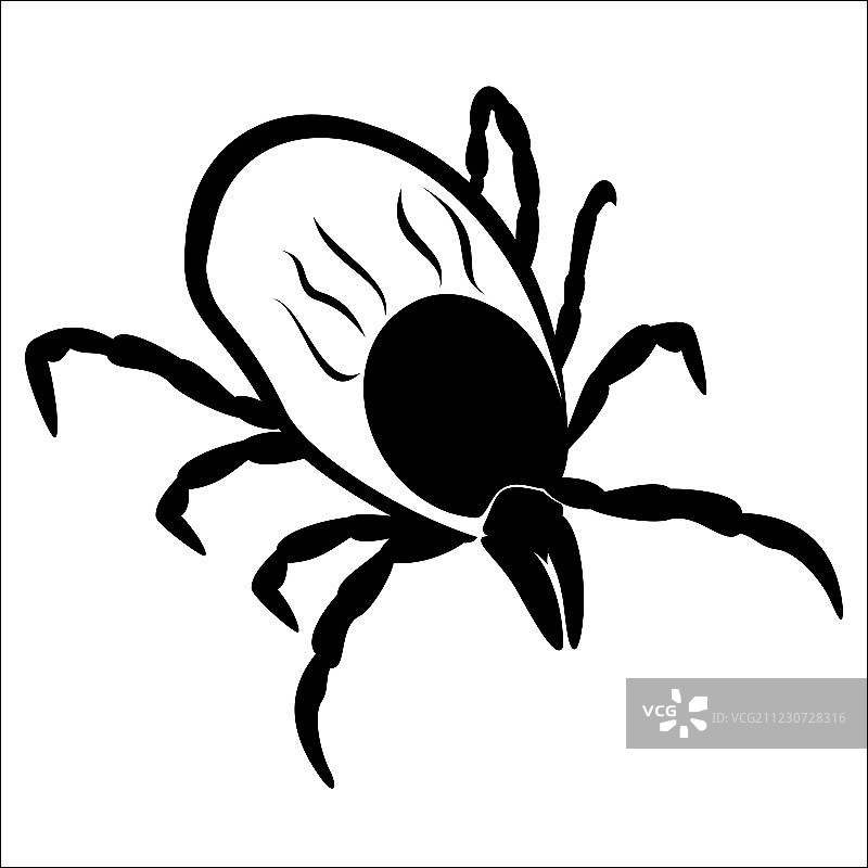 白色背景上的蜱虫图片素材