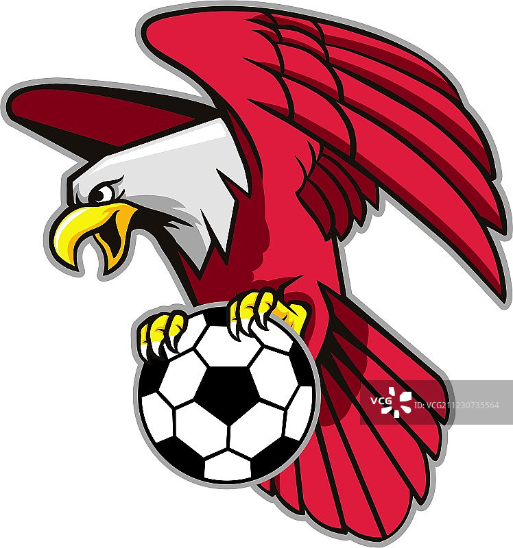 飞翔的秃鹰抓住足球图片素材