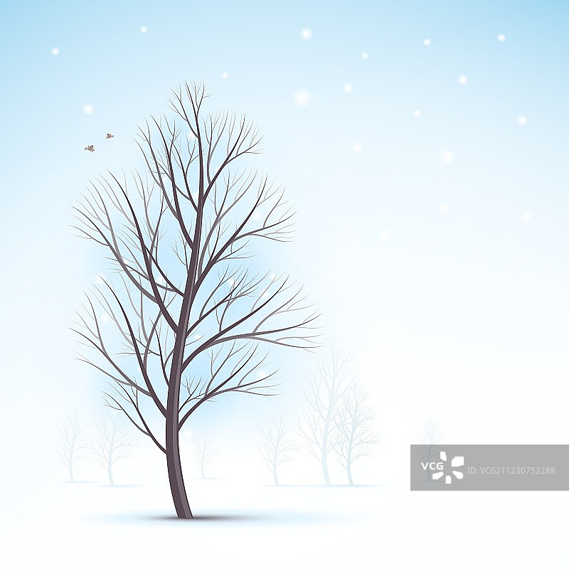 冬天的树图片素材